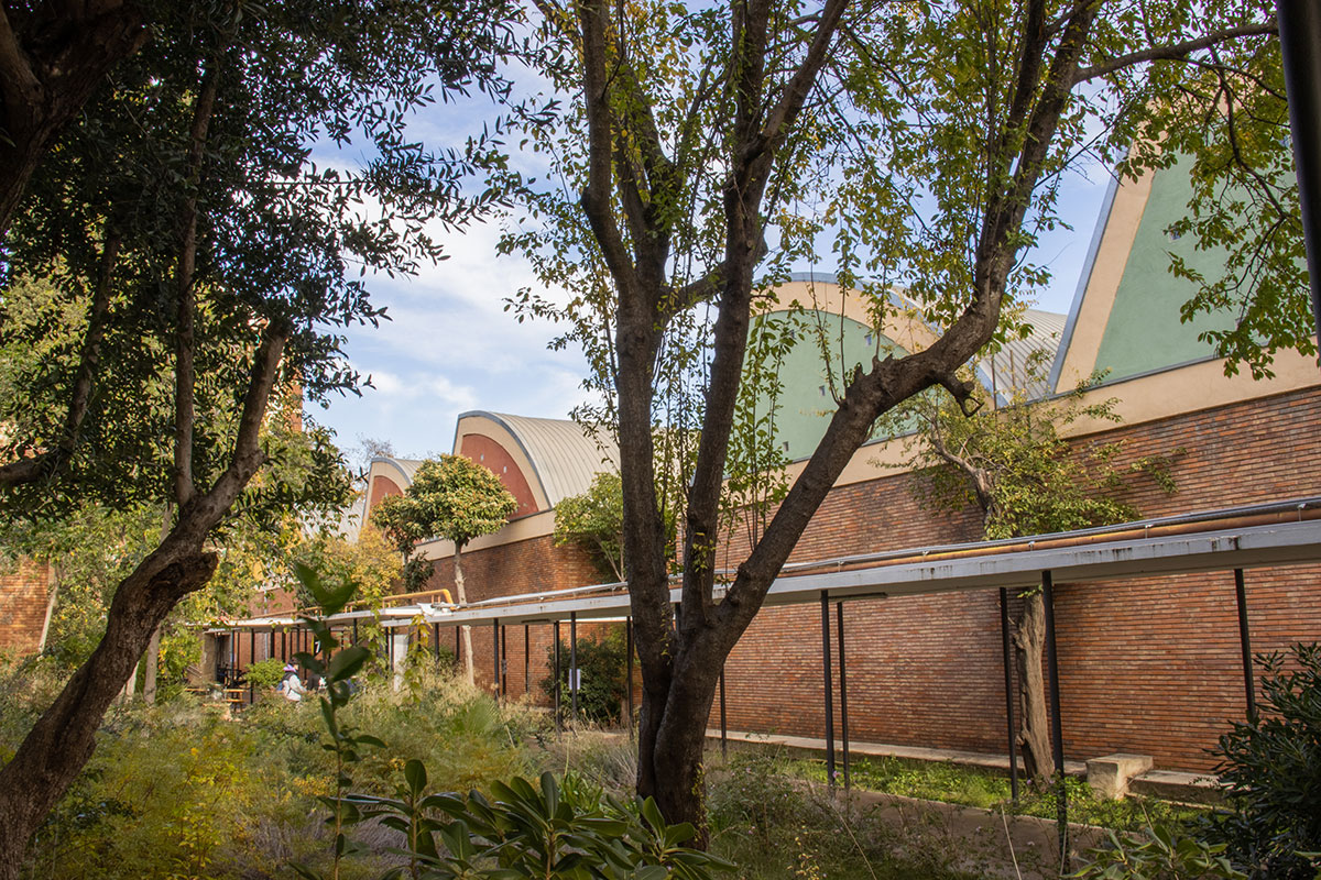 Llotja instal·lacions - Sant Andreu
