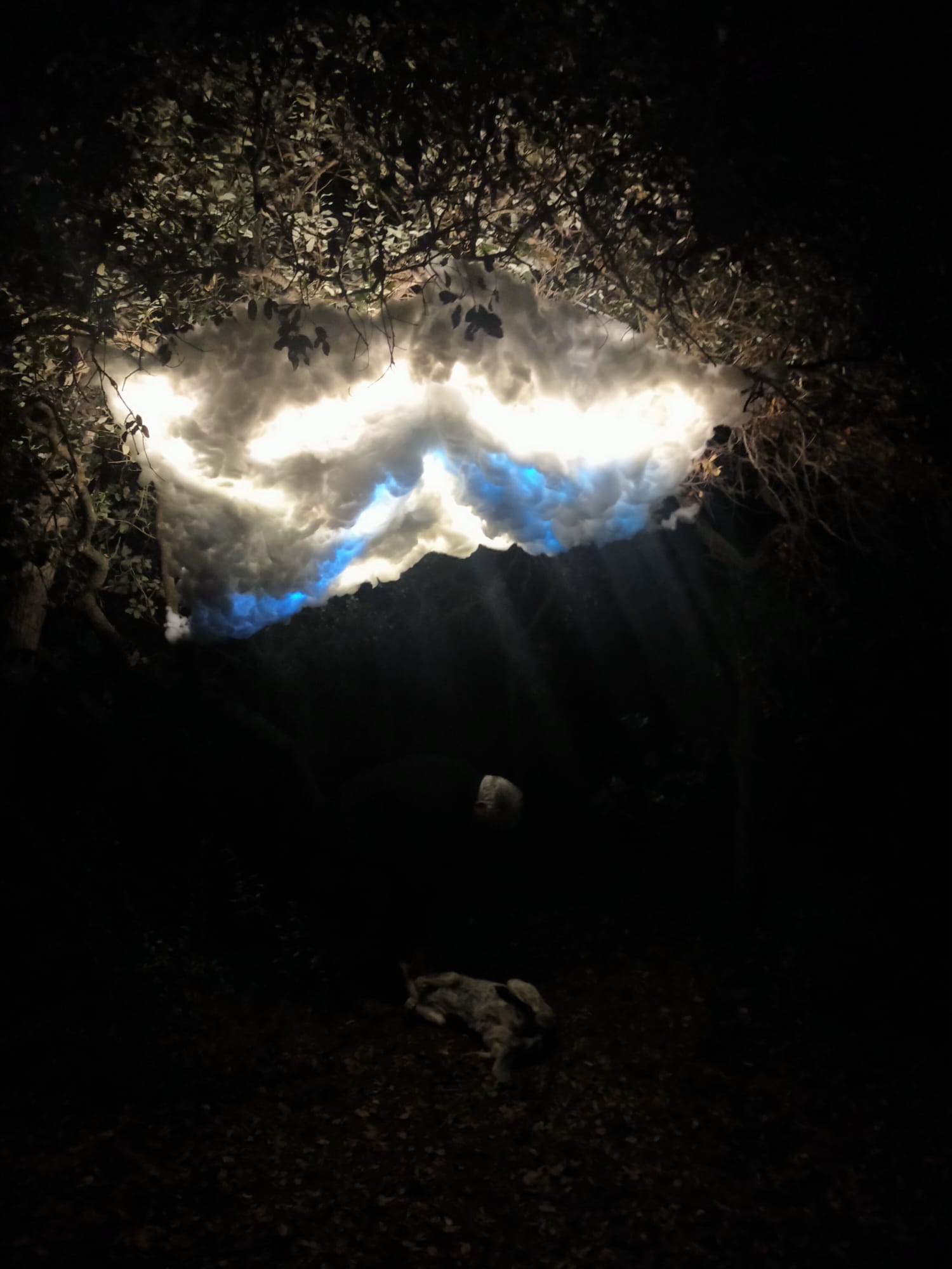 Lightning 1